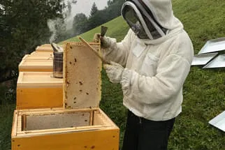 August
