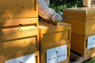 August