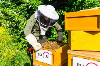 Bienenjahr '18 Bild 315