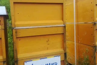 Bienenjahr '18 Bild 120