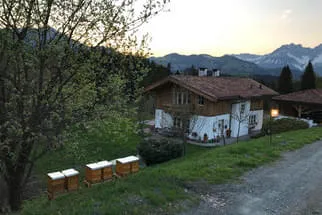 Bienenjahr '18 Bild 294