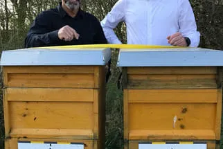 Bienenjahr '18 Bild 244