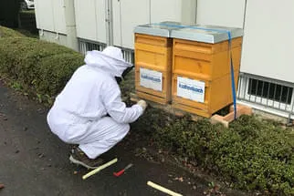 Bienenjahr '18 Bild 277