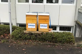 Bienenjahr '18 Bild 270