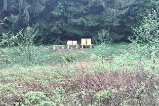 Bienenjahr '18 Bild 326