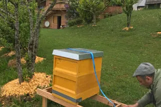 Bienenjahr '18 Bild 69