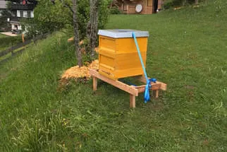 Bienenjahr '18 Bild 63
