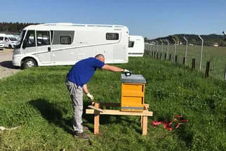 Bienenjahr '18 Bild 45