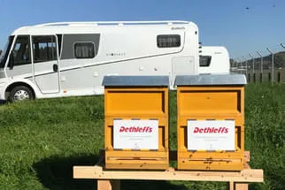 Bienenjahr '18 Bild 40