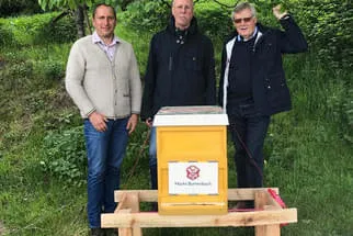 Bienenjahr '18 Bild 25