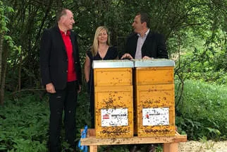 Bienenjahr '18 Bild 237