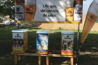 Bienenjahr '18 Bild 12