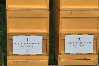 Bienenjahr '18 Bild 199