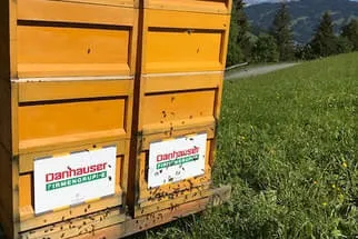 Bienenjahr '18 Bild 221