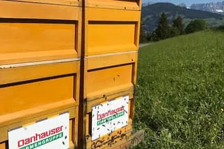 Bienenjahr '18 Bild 219