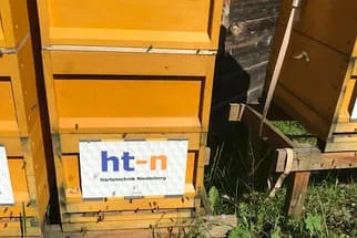 Bienenjahr '18 Bild 210