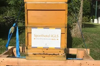 Bienenjahr '18 Bild 161