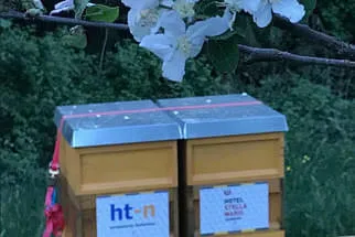 Bienenjahr '18 Bild 204