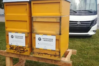 Bienenjahr '18 Bild 168