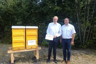 Bienenjahr '18 Bild 148
