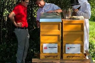 Bienenjahr '18 Bild 91