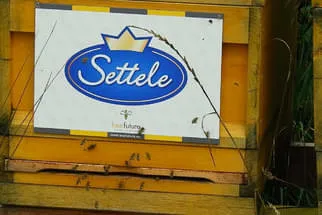 Settele Bild 43