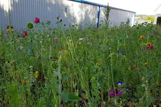 Becker Antriebe Bild 20