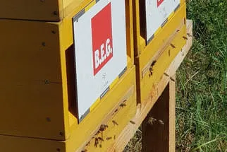 BEG  Bild 19