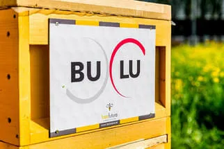 Bulu Bild 4