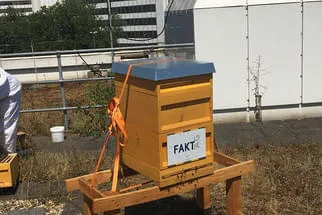 Fakt AG Bild 25