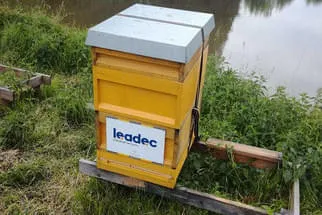 Leadec Bild 15