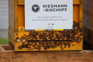Niesmann Bischoff Bild 9