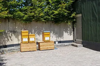 Posthotel Achenkirch Bild 35
