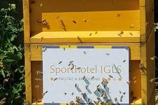Sporthotels Igls 