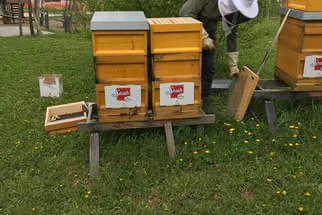 Bäckerei Staib Bild 24