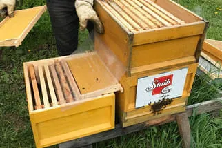 Bäckerei Staib Bild 20