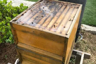 Bäckerei Staib Bild 15