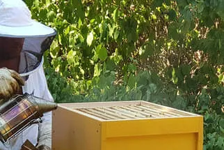 So arbeitet der Imker  Bild 29