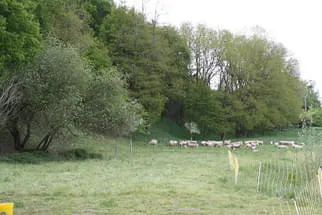 Gemeinde Burtenbach Bild 17