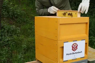 Gemeinde Burtenbach Bild 14