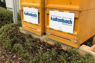 Kaltenbach Elektrotechnik Bild 5