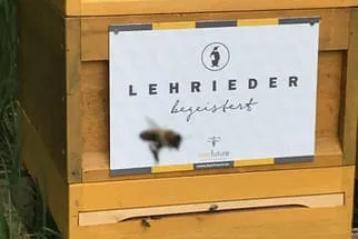 Lehrieder Bild 2