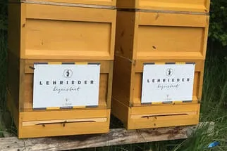 Lehrieder Bild 0