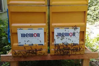 Memon Bild 0