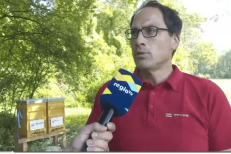 Regio-TV-