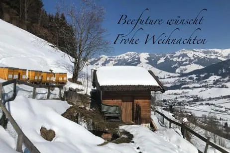 Beefuture-wuenscht-Frohe-Weihnachten
