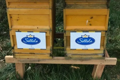 Settele-investiert-in-Bienen-