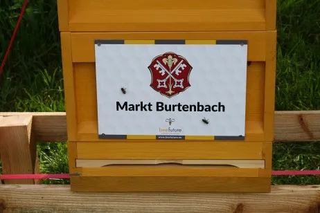 Die-Gemeinde-Burtenbach-laesst-es-summen-